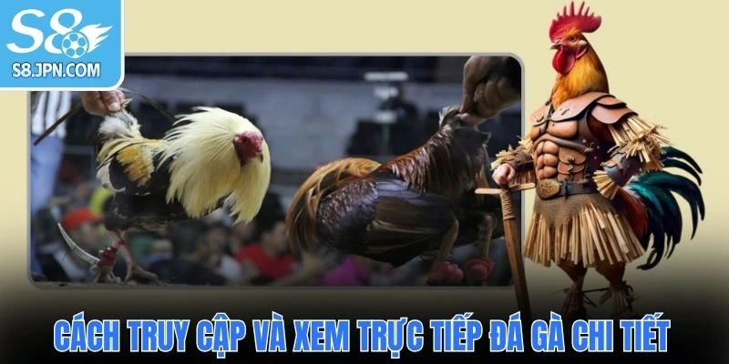 Cách truy cập và xem trực tiếp đá gà chi tiết