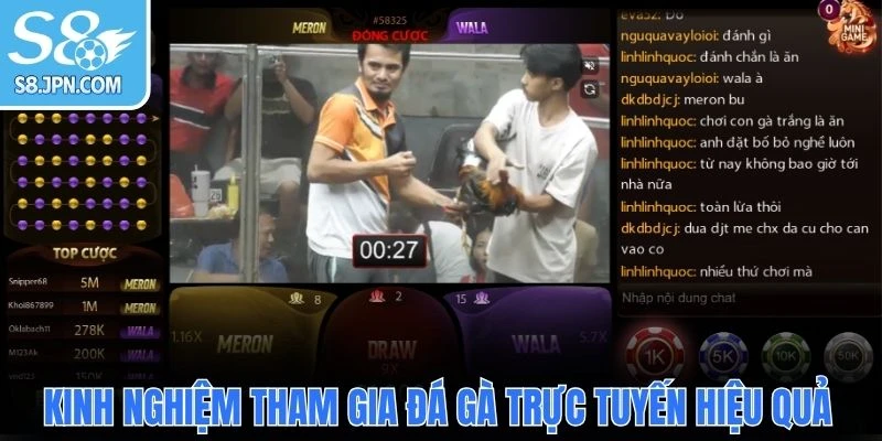 Kinh nghiệm tham gia đá gà trực tuyến hiệu quả