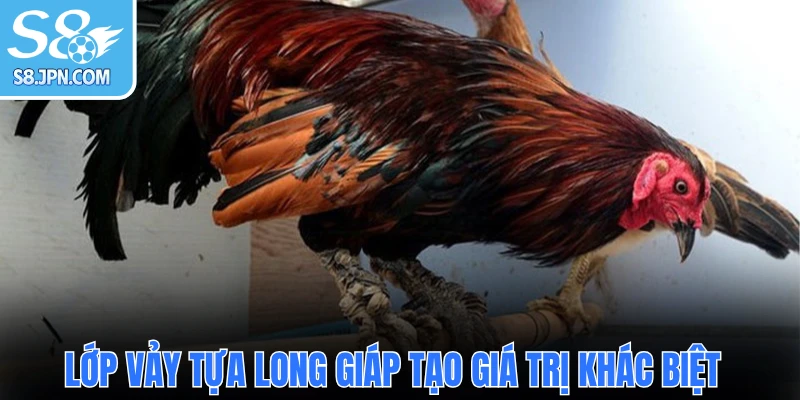 Lớp vảy tựa long giáp tạo giá trị khác biệt