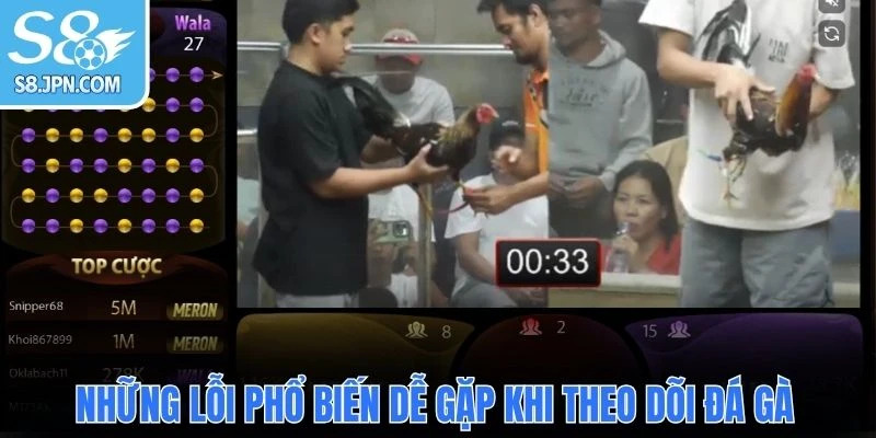 Những lỗi phổ biến dễ gặp khi theo dõi đá gà